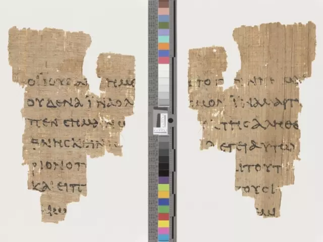 Railando papirusas Nr. P52