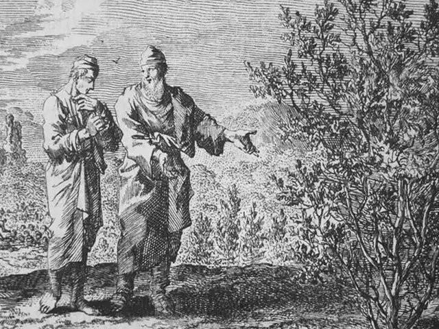 VI sekmadienis kaip po Epifanijos